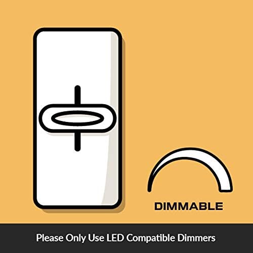 Simba Lighting LED Edison Vintage Filament G25 6W 120V E26, 2700K, 3 Pack | Vanity Globe G80 Bulb, Dimmable 60W Equivalent for Bathroom Makeup Mirror, Medium E26 Base, CE, RoHS Compliant, Warm White