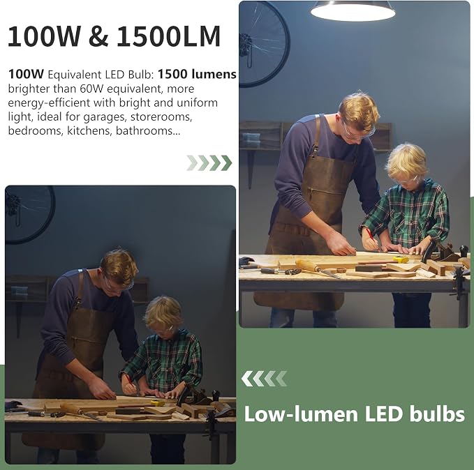 evelor 24-Packs A19 LED Light Bulbs,100 Watt Equivalent 2700K Soft White Bright Bulbs Efficient 13W,1500 Lumens E26 Base, Non-Dimmable, 15000-Hour Lifespan for Bedroom, Living Room, Office