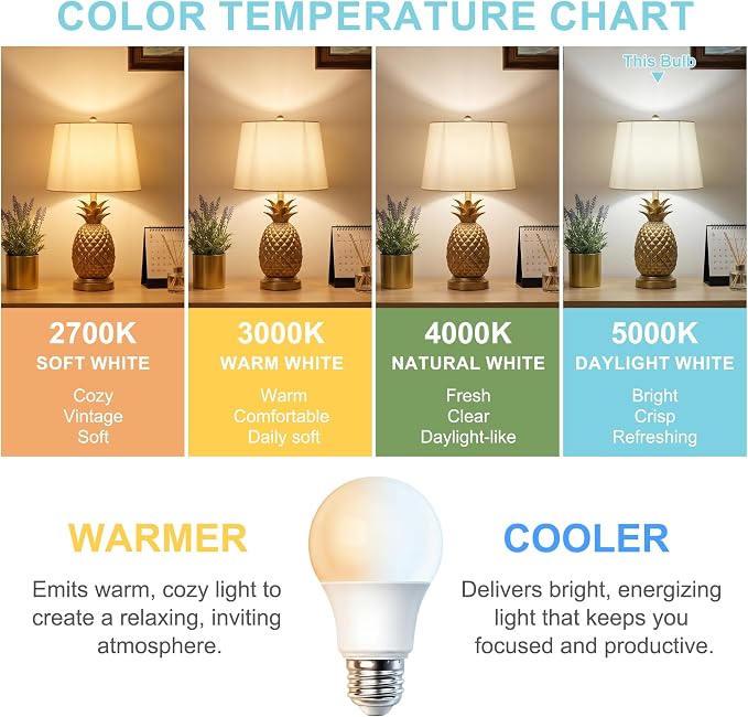 24 Pack A19 LED Light Bulbs, 60W Equivalent, Daylight Light 5000K LED Bulb with E26 Standard Base, Efficient 9W, Non-Dimmable, 800 Lumens, 120V, CRI 85, Eye-Friendly for Bedroom Living Room